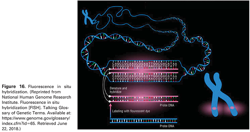 Modern Genetics in Obstetrics and Gynecology