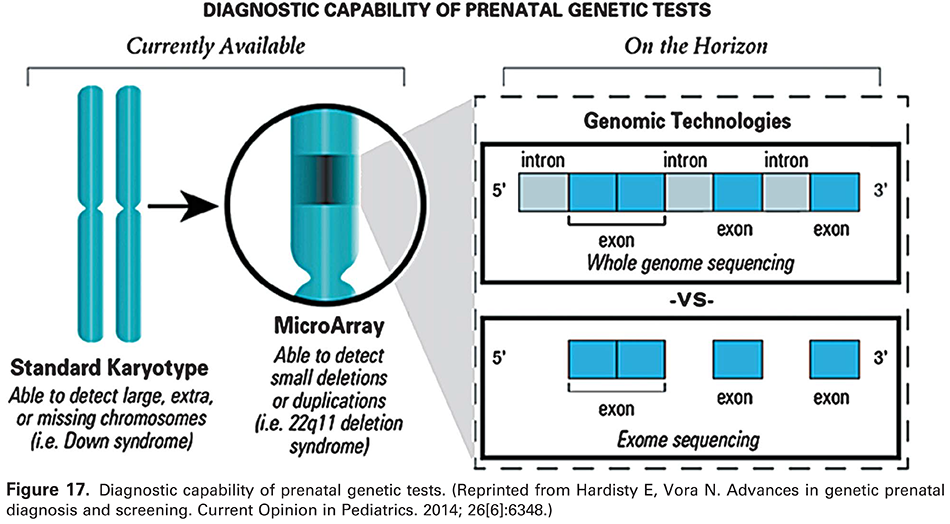 Modern Genetics in Obstetrics and Gynecology