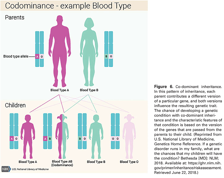 Figure 6. Co-dominant inheritance. In this pattern of inheritance, each parent contributes a different version of a particular gene, and both versions influence the resulting genetic trait. The chance of developing a genetic condition with co-dominant inheritance and the characteristic features of that condition is based on the version of the genes that are passed from the parents to their child. (Reprinted from U.S. National Library of Medicine, Genetics Home Reference. If a genetic disorder runs in my family, what are the chances that my children will have the condition? Bethesda [MD]: NLM; 2018. Available at: 
 https://ghr.nlm.nih.gov/primer/inheritance/riskassessment . Retrieved June 22, 2018.)
 
