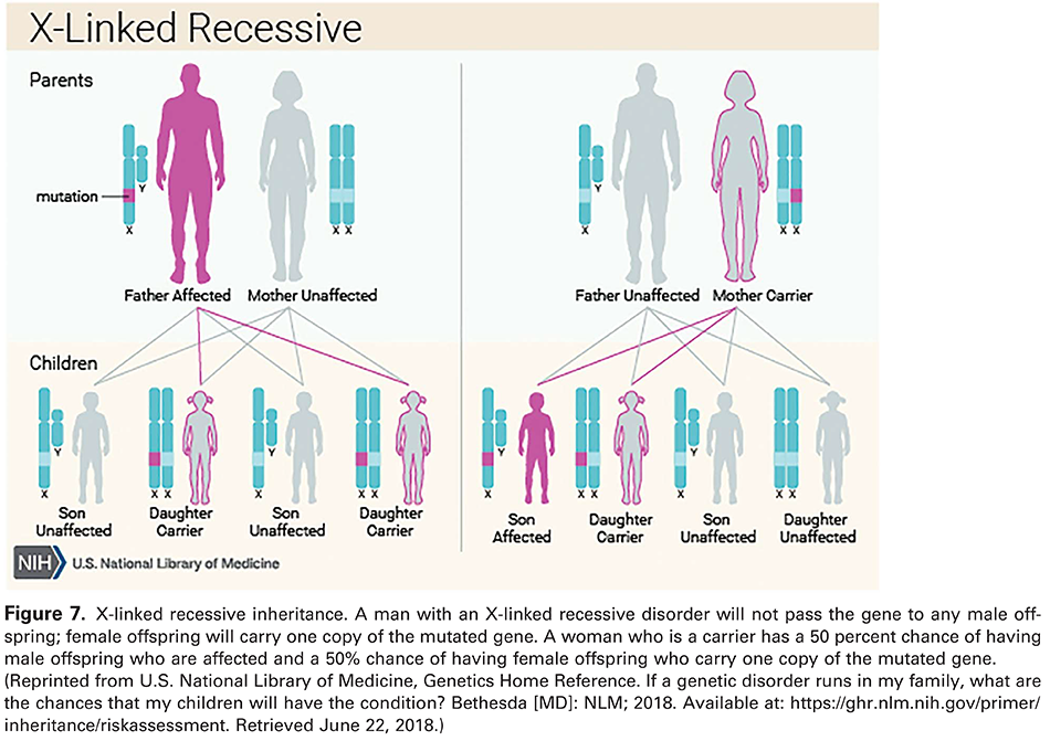 Figure 7. X-linked recessive inheritance. A man with an X-linked recessive disorder will not pass the gene to any male offspring; female offspring will carry one copy of the mutated gene. A woman who is a carrier has a 50 percent chance of having male offspring who are affected and a 50% chance of having female offspring who carry one copy of the mutated gene. (Reprinted from U.S. National Library of Medicine, Genetics Home Reference. If a genetic disorder runs in my family, what are the chances that my children will have the condition? Bethesda [MD]: NLM; 2018. Available at: 
 https://ghr.nlm.nih.gov/primer/inheritance/riskassessment . Retrieved June 22, 2018.)
 