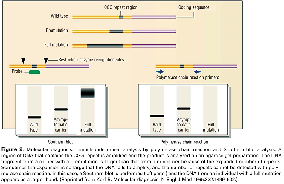 Modern Genetics in Obstetrics and Gynecology
